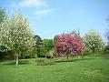 2009-0418-Morden_Hall_Park_1545-16C